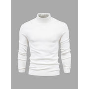 Leo - Modern Fit Men's Turtleneck Sweater