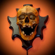 Skull Night Light - LED Eye Glow & Spooky Sound Lamp
