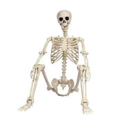 Life Size Skeleton Decoration - 67-Inch Posable Halloween Prop