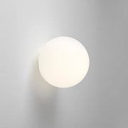 Frosted Glass Globe LED Wall Sconce, 1-Light