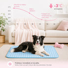 Quilted dog cooling mat with rounded corners