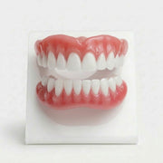 Removable Dental Prosthesis Set, Flexible Silicone Design